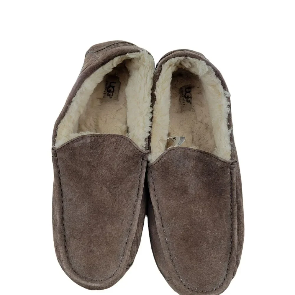 UGG australia ascot
